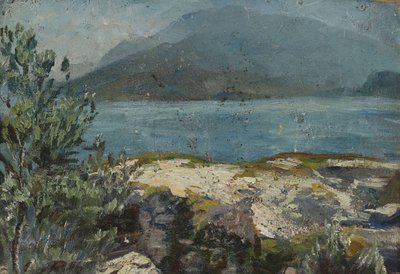 Summery Lakeshore by Hermann Pleuer